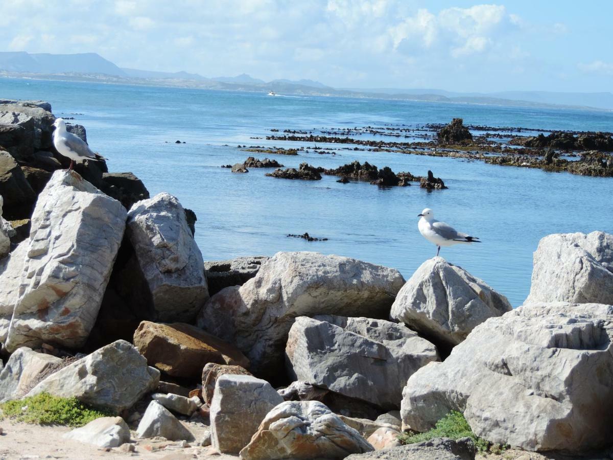 Bed and Breakfast Wave Dancer Gansbaai Zewnętrze zdjęcie