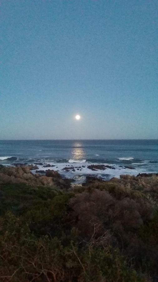 Bed and Breakfast Wave Dancer Gansbaai Zewnętrze zdjęcie
