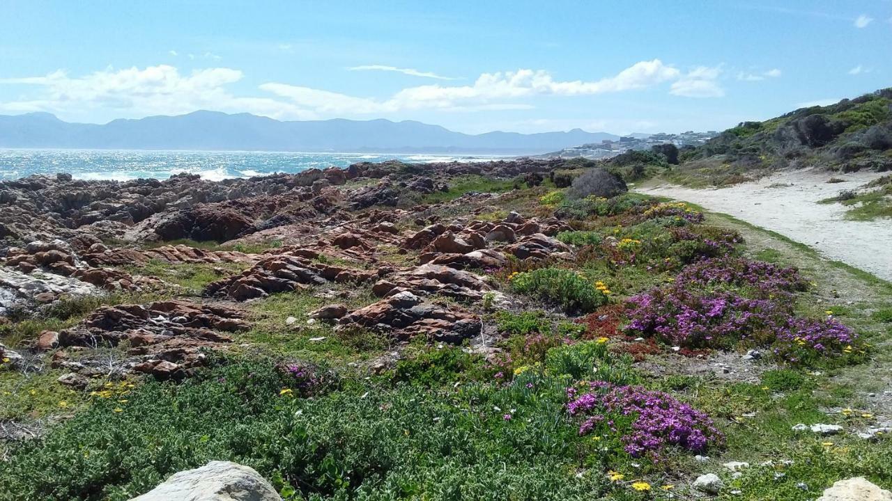 Bed and Breakfast Wave Dancer Gansbaai Zewnętrze zdjęcie